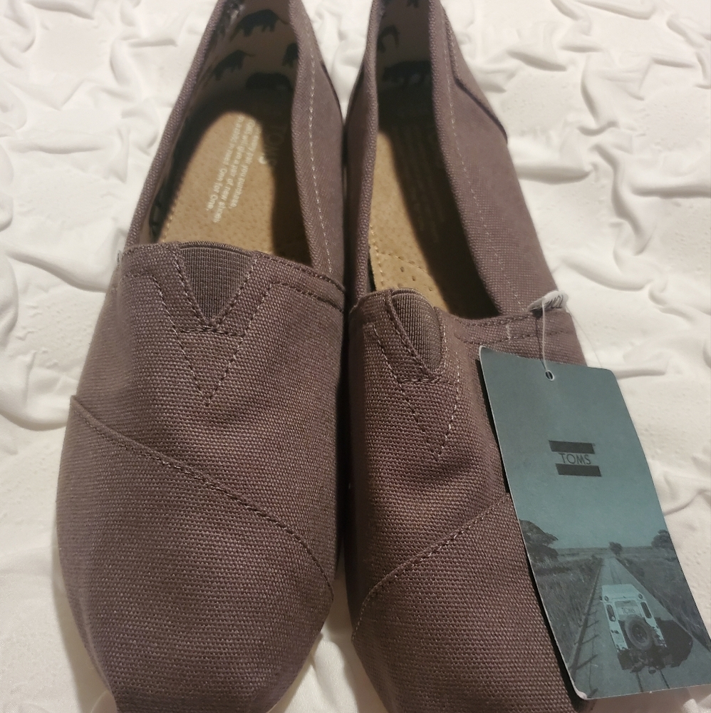 TOMS Classic Ash Canvas Slip On's